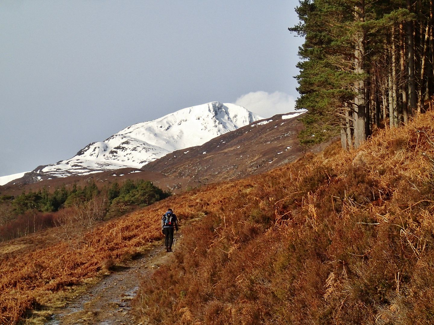 Walk Report Racing the weather on the mountains of Glen Affric